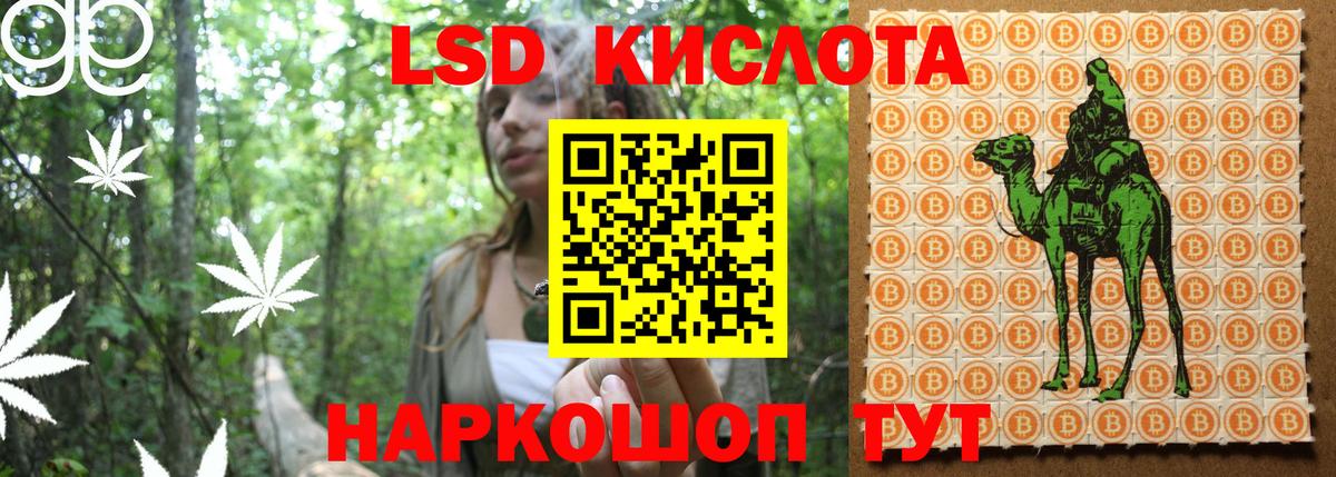 Марки NBOMe 1,5мг  Вход с VPN  Алексеевка  Марки NBOMe 1,5мг 