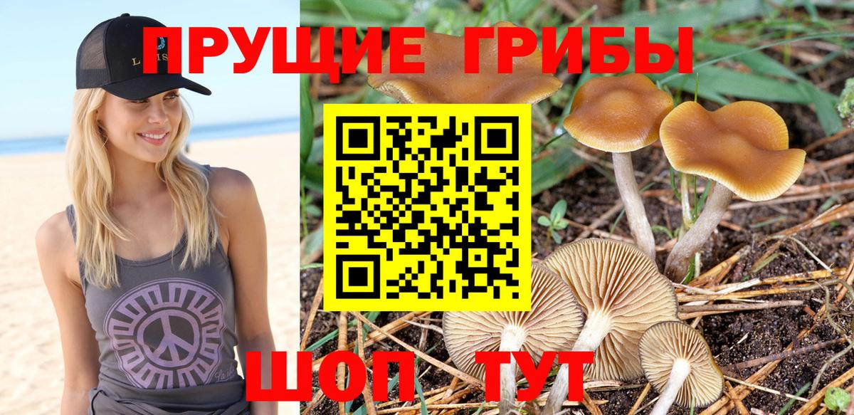 Галлюциногенные грибы ЛСД Алексеевка