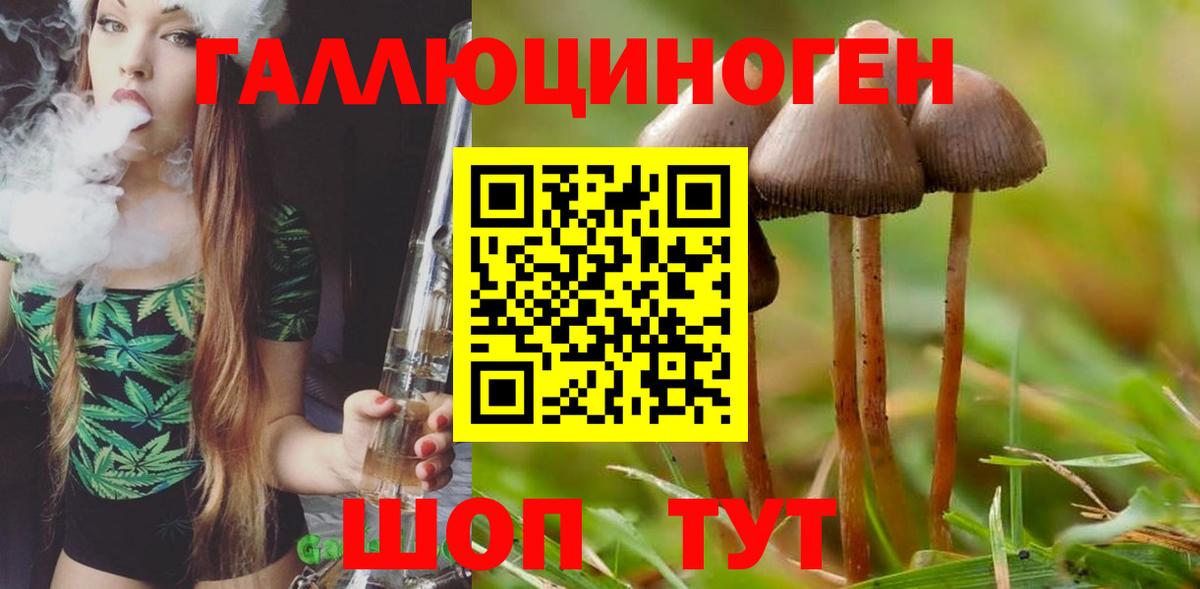 Псилоцибиновые грибы мухоморы  Вход с VPN  Алексеевка 